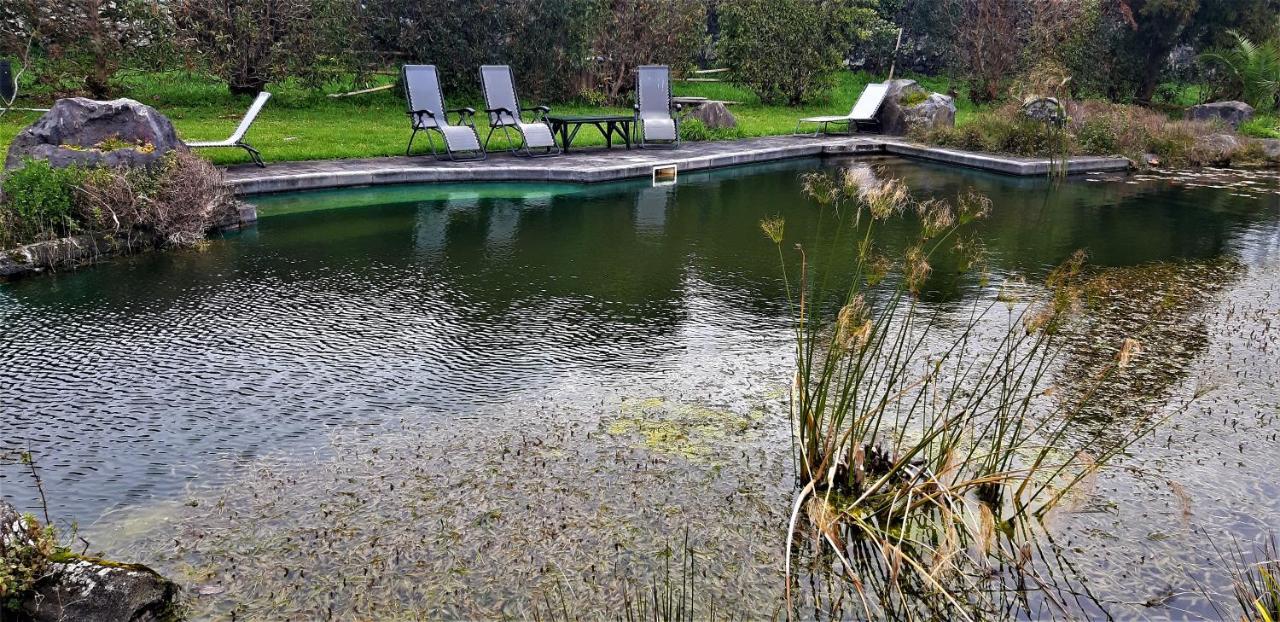 Quinta Do Bom Despacho Ponta Delgada Exteriör bild