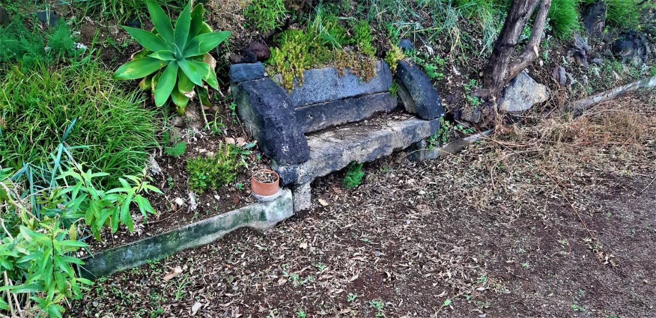 Quinta Do Bom Despacho Ponta Delgada Exteriör bild